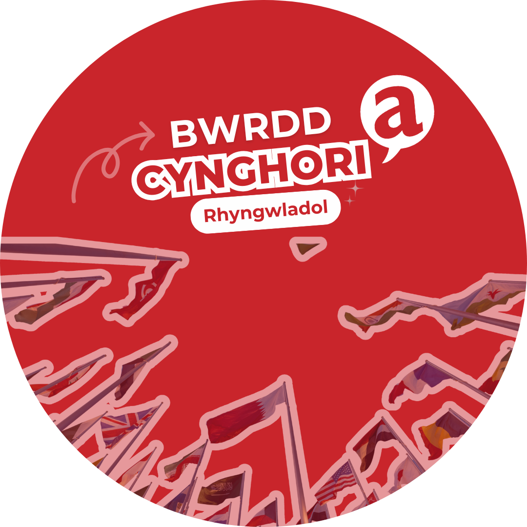 Bwrdd Cynghori Rhyngwladol